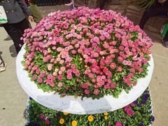 -宝鸡植物园