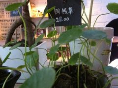景点-小洲村