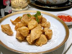 虎皮臭豆腐-蝶园·装修中(BFC外滩金融中心店)