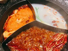 -蜀大侠火锅(森兰花园城店)