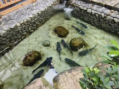 -耕渔小院·湖南鱼鲜(望城店)