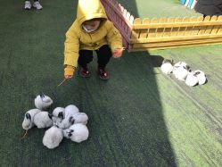 -萌宠亲子动物乐园(槐房万达店)