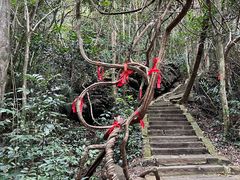 -七仙岭温泉国家森林公园