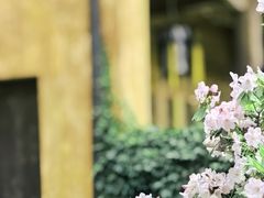 -天台山国清景区(国清寺)