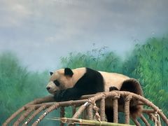 -杭州动物园