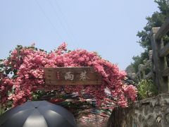 -河南宝泉旅游区