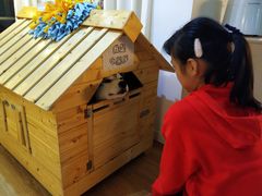 -Husky Go! 哈士奇体验馆·宠物咖啡厅狗咖