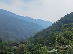 -龙窝子