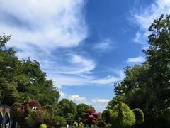 -沈阳植物园