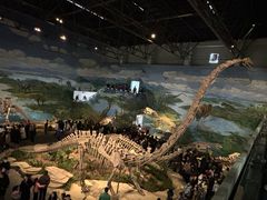 -自贡恐龙博物馆