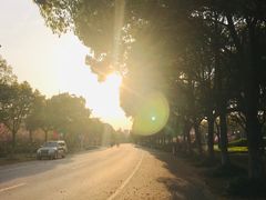 -东华大学(松江校区)