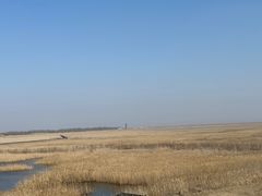 -盐城丹顶鹤湿地生态旅游区