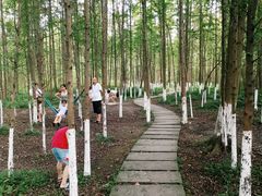 -桤木河湿地公园