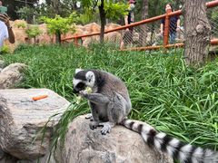 -北京野生动物园