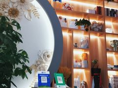 -山宅一喵德文卷毛猫舍