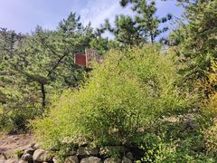 -九龙池景区
