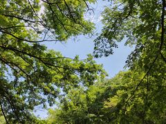 -崂山九水游览区