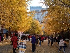 -辽宁大学(崇山校区)