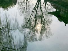 -趵突泉景区