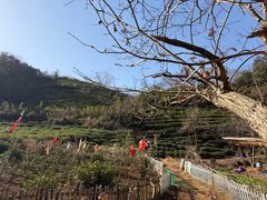 -午潮山国家森林公园