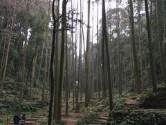 -凤栖山