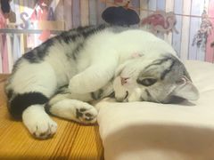 -小时光咖啡馆(开森度假森林店)