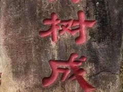 -瑞丽独树成林风景区