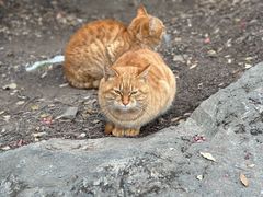 -终南山南五台景区