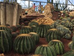 -南通洲际绿博园