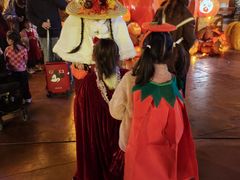 -郑州方特梦幻王国