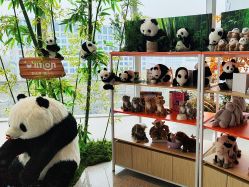 -IMON·HANSA潮玩玩偶毛绒玩具(通州万象汇店)