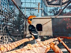 -鄂尔多斯野生动物园