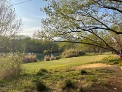 -楠溪江风景名胜区