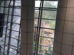 -吉隆坡国际机场