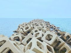 -东疆建设开发纪念公园