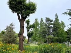 -国家植物园南园