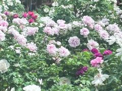 -江南大学(蠡湖校区)