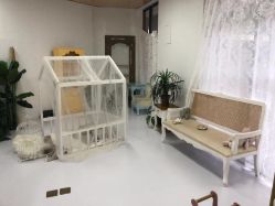 -星宝贝儿童摄影