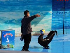 -西安秦岭野生动物园