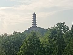 -北坞公园