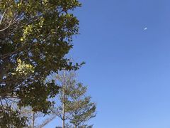 -彩虹沙滩