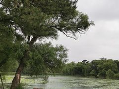 -承德避暑山庄景区