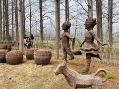 -上海长兴岛郊野公园