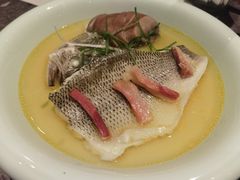 非一般的鲈鱼-港丽餐厅(龙之梦长宁店)