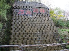 -千年银杏谷文化旅游区