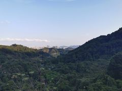 -阳台山森林公园