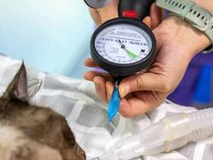 -瑞派申生动物医院·24H夜诊·国际动物医疗中心·骨外科(吴中路店)