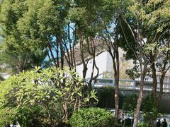 -演武大桥观景平台