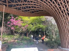 -东明山森林公园