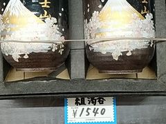 -富士山吉田線五合目